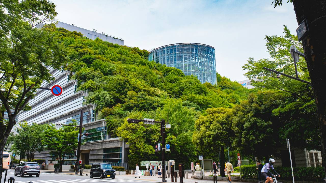 A large building completely covered by green trees