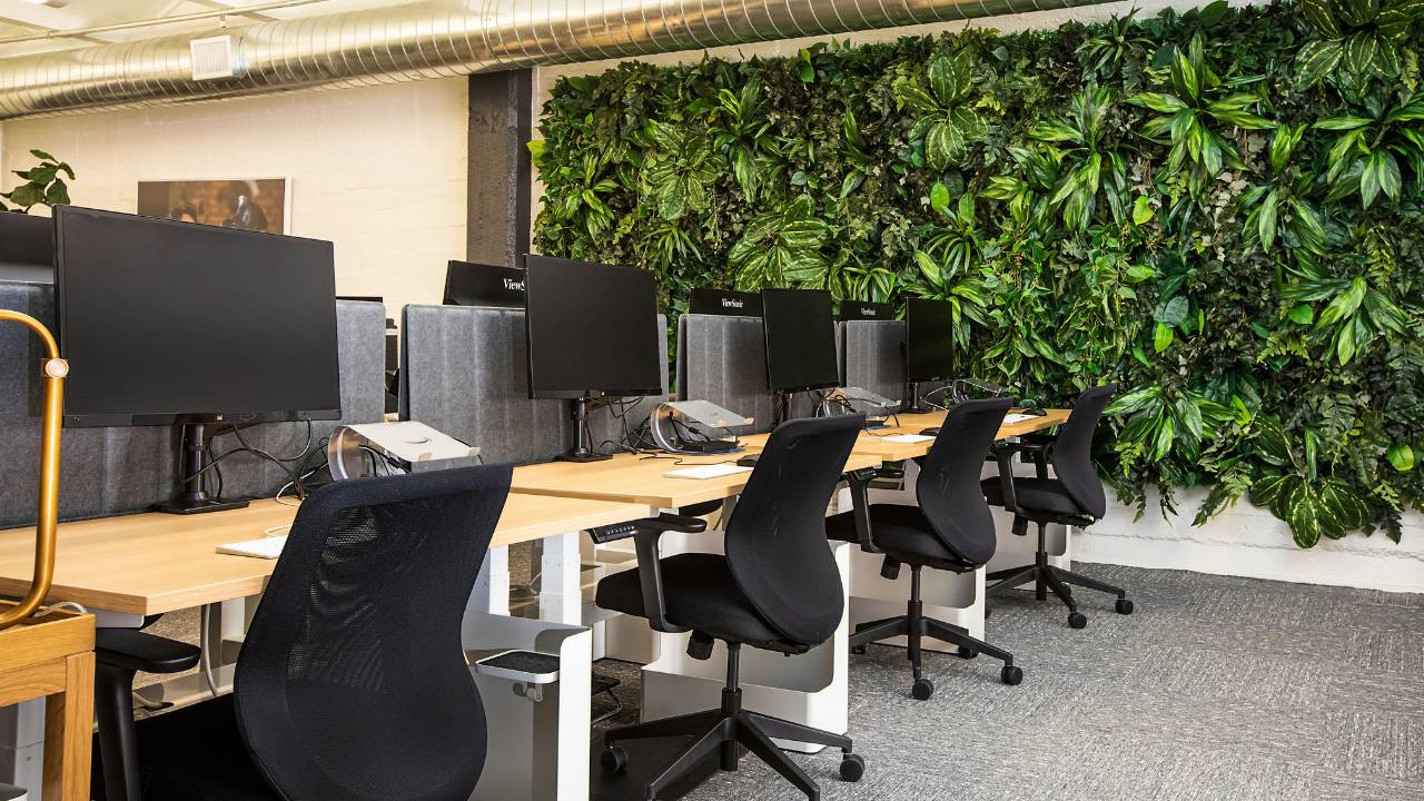 A wall full of greenery in an empty office