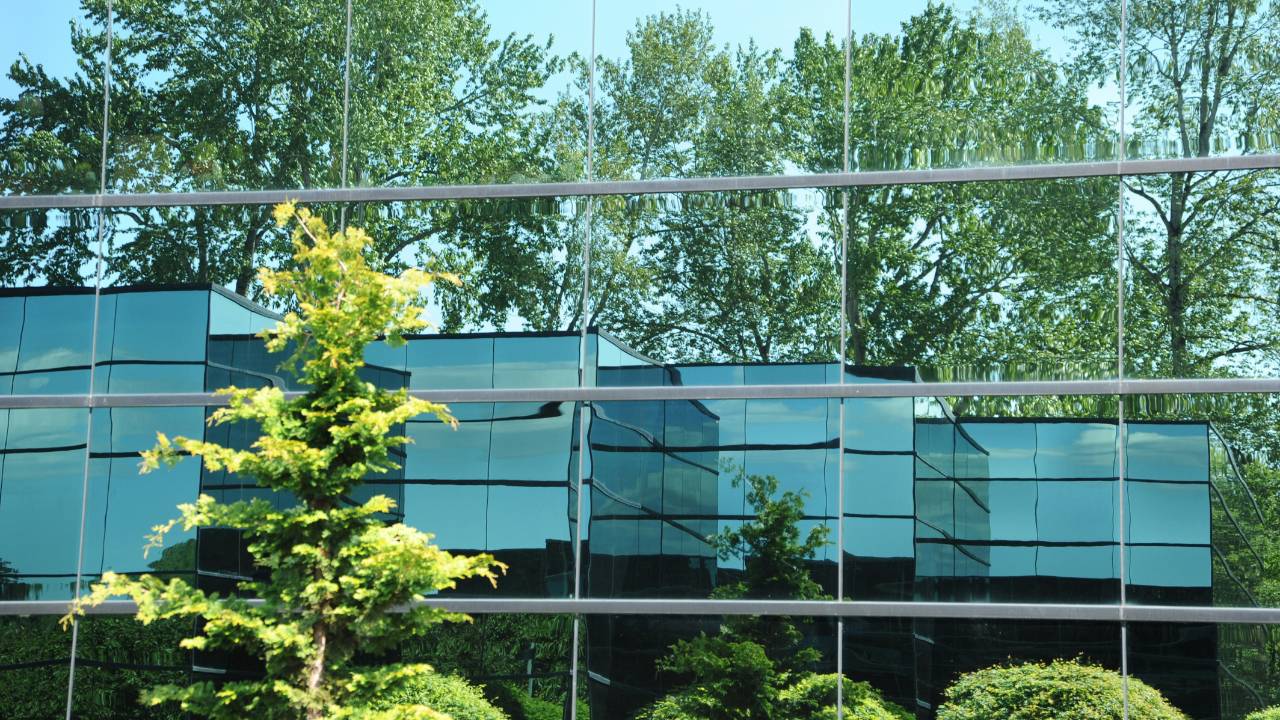 Green trees reflected in a building's glass wall